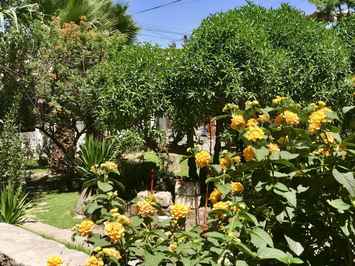 Grace Valley Arequipa Exterior foto